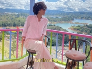 Camilecedrik