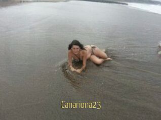 Canariona23