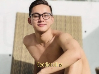Ceddiecollins