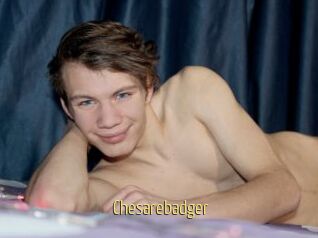 Chesarebadger