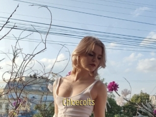 Chloecolts