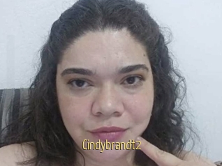Cindybrandt2