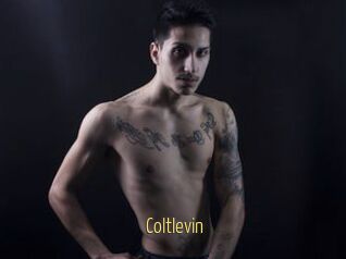 Coltlevin