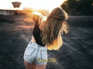 DaisyColle