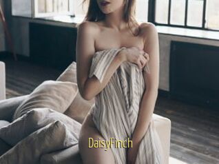 DaisyFinch