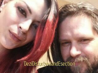 DeziDisturbedandEsection