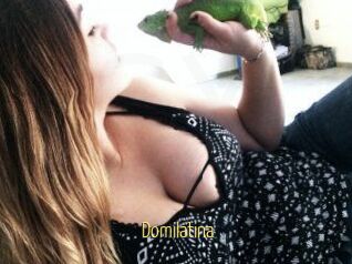 Domilatina