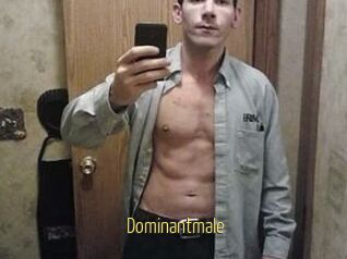 Dominantmale