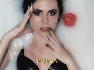 DomineerVi