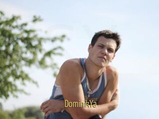 DominikYa