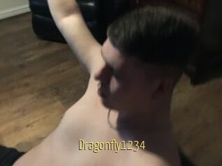 Dragonfly1234