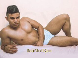 DylanStud19cm