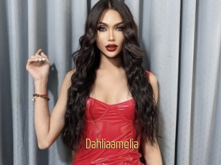 Dahliaamelia