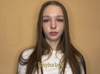 Daisyburland