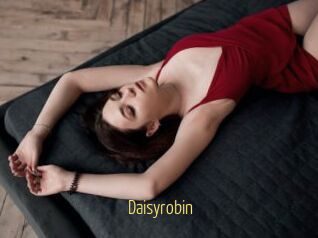 Daisyrobin