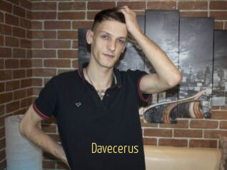 Davecerus