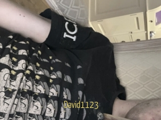 David1123
