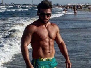 Domluc