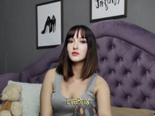 EvaBrix