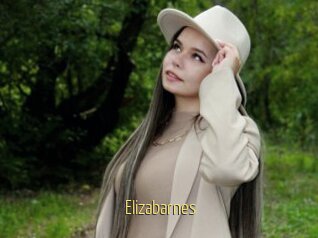 Elizabarnes