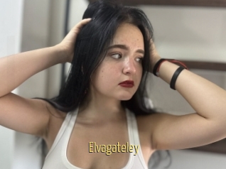 Elvagateley