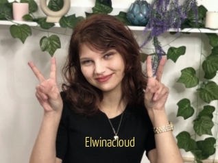 Elwinacloud