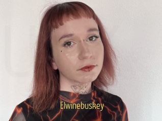 Elwinebuskey