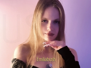 Emiliabush
