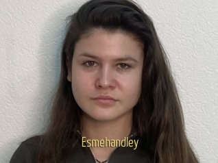 Esmehandley