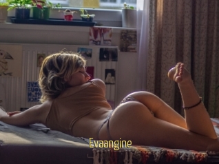 Evaangine
