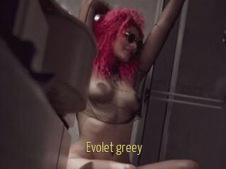Evolet_greey