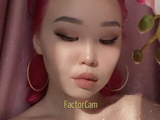 FactorCam