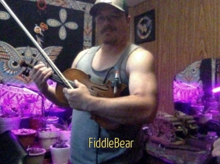 FiddleBear