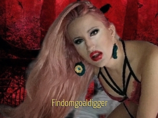 Findomgoaldigger