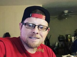 Fizdog