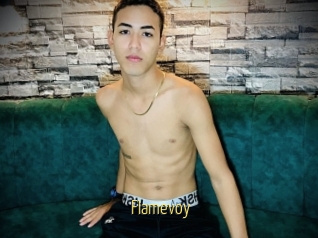 Flamevoy