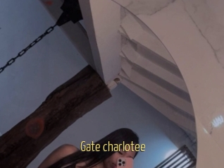 Gate_charlotee