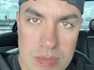 Gatoccc