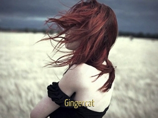 Gingercat