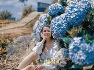 HaKimNguyen