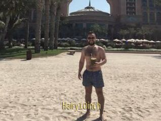 Hairy10inch