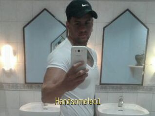 Handsomeleo1