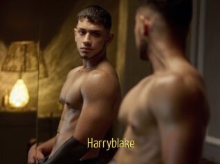 Harryblake