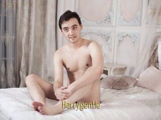 Harrygentle