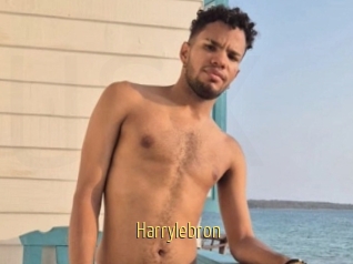 Harrylebron