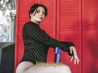 Hildagallagher