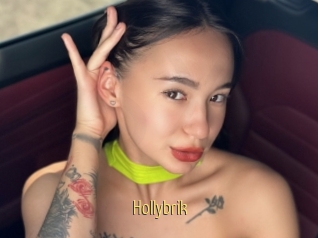Hollybrik