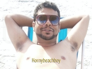 Hornybeachboy