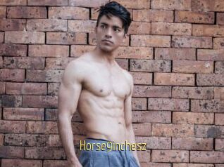 Horse9inchesz