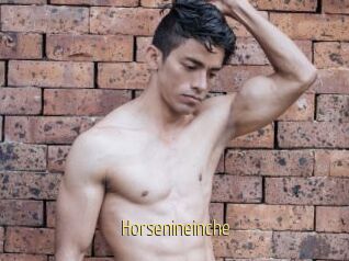 Horsenineinche